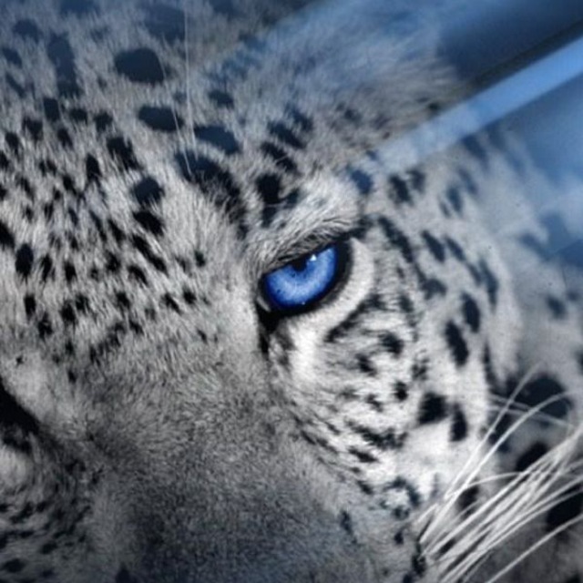 Natalia Nata @769113