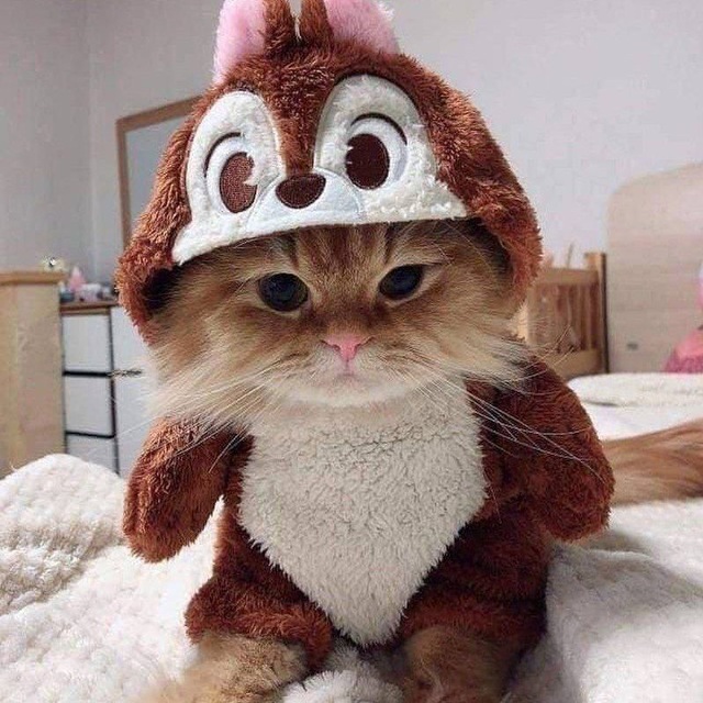 🙂🙃 @6888244699