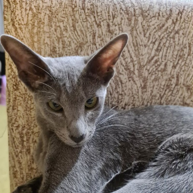 Татьяна @1882250116