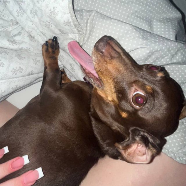 Andruha @Andruhaiscool